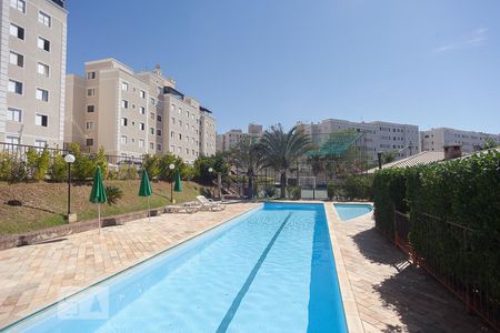 Área comum - Piscina de apartamento para alugar com 2 quartos, 51m² em Jardim Nova Europa, Campinas