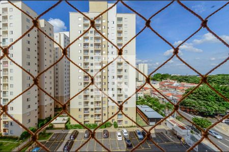 Vista da Suíte de apartamento para alugar com 3 quartos, 74m² em Bonfim, Campinas