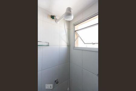 Banheiro Chuveiro de apartamento para alugar com 2 quartos, 54m² em Lapa de Baixo, São Paulo