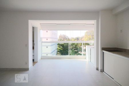 Studio de kitnet/studio para alugar com 1 quarto, 35m² em Santo Amaro, São Paulo