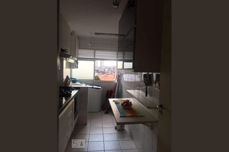 Cozinha e Área de Serviço de apartamento à venda com 2 quartos, 52m² em Bosque das Juritis, Campinas