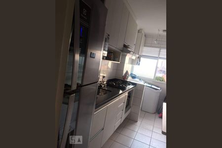 Cozinha e Área de Serviço de apartamento à venda com 2 quartos, 52m² em Bosque das Juritis, Campinas