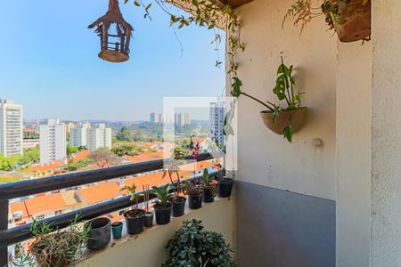 Sala - Varanda de apartamento à venda com 3 quartos, 75m² em Jardim Ester, São Paulo