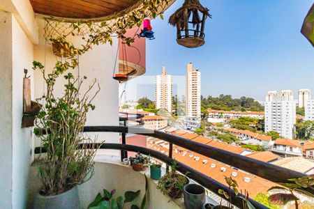 Sala - Varanda de apartamento para alugar com 3 quartos, 75m² em Jardim Ester, São Paulo