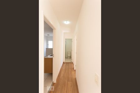 Corredor de apartamento para alugar com 2 quartos, 52m² em Vila Progresso, Campinas