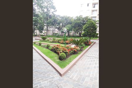 Área comum - Jardim  de apartamento à venda com 2 quartos, 60m² em Parque Tomas Saraiva, São Paulo