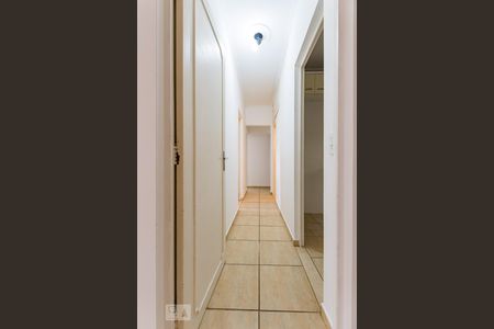 Corredor de apartamento à venda com 3 quartos, 75m² em Jardim Flamboyant, Campinas