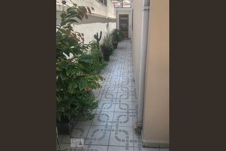 Quintal de casa para alugar com 3 quartos, 151m² em Jardim Peri Peri, São Paulo