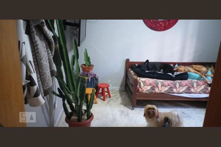 Quarto 2 de casa para alugar com 2 quartos, 110m² em Vila Mariana, São Paulo