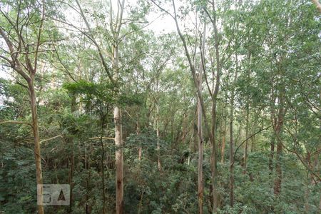 Vista da varanda de apartamento para alugar com 4 quartos, 225m² em Jardim Fonte do Morumbi, São Paulo