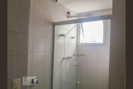 Banheiro de apartamento para alugar com 2 quartos, 50m² em Vila Ipojuca, São Paulo