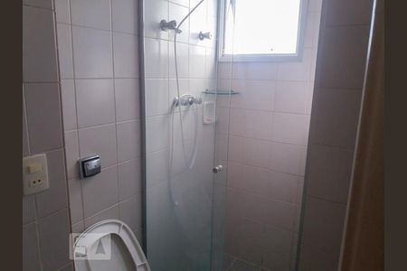 Banheiro de apartamento para alugar com 2 quartos, 50m² em Vila Ipojuca, São Paulo