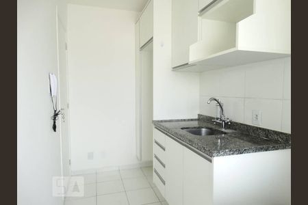 Cozinha de apartamento para alugar com 2 quartos, 50m² em Quinta da Paineira, São Paulo