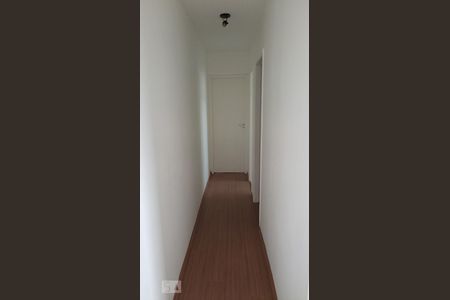 corredor de apartamento à venda com 2 quartos, 49m² em Parque Jambeiro, Campinas
