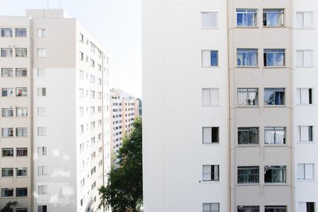 Vista do Quarto 1 de apartamento para alugar com 2 quartos, 60m² em Vila Campestre, São Paulo