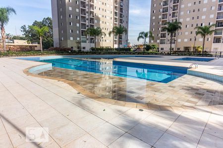 Piscina de apartamento à venda com 3 quartos, 74m² em Umuarama, Osasco