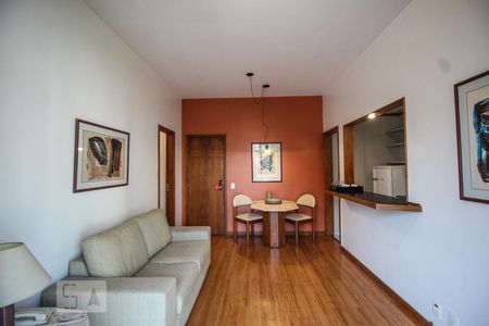 Sala e cozinha de apartamento para alugar com 1 quarto, 49m² em Funcionários, Belo Horizonte