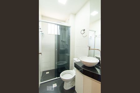 Banheiro de apartamento para alugar com 2 quartos, 50m² em Bandeirantes (pampulha), Belo Horizonte