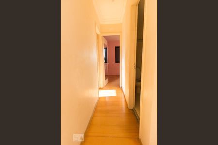 Corredor de apartamento para alugar com 2 quartos, 55m² em Lauzane Paulista, São Paulo