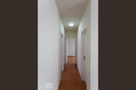 Corredor  de apartamento para alugar com 3 quartos, 65m² em Serra, Belo Horizonte