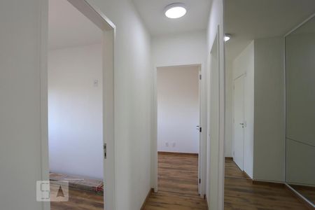 Corredor de apartamento para alugar com 2 quartos, 51m² em Jardim Umarizal, São Paulo