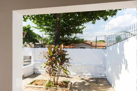 Vista de casa para alugar com 3 quartos, 80m² em Jardim Leonor, Campinas