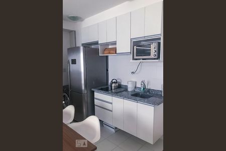 Cozinha de apartamento para alugar com 1 quarto, 47m² em Botafogo, Campinas