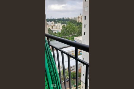 Vista de apartamento para alugar com 2 quartos, 50m² em Jardim Parque Morumbi, São Paulo