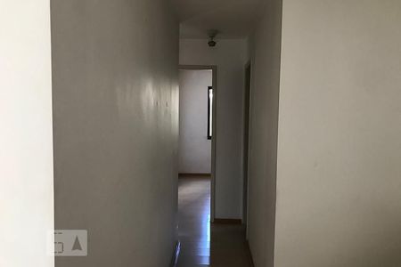 Corredor de apartamento para alugar com 3 quartos, 76m² em Alto da Lapa, São Paulo