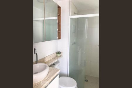 Banheiro  de apartamento para alugar com 2 quartos, 45m² em Quinta da Paineira, São Paulo