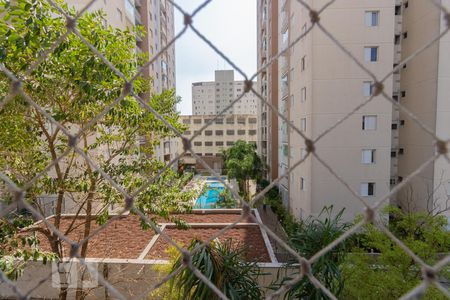 Vista da Suíte de apartamento para alugar com 2 quartos, 65m² em Jardim Prudência, São Paulo