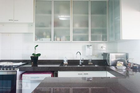 Cozinha de apartamento à venda com 3 quartos, 254m² em Vila Suzana, São Paulo