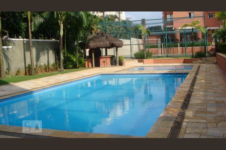 Área comum - Piscina de apartamento à venda com 3 quartos, 80m² em Jardim Textil, São Paulo