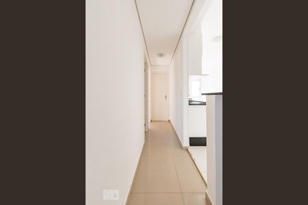Corrredor de apartamento para alugar com 2 quartos, 50m² em Jardim Myrian Moreira da Costa, Campinas