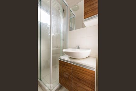 Banheiro de apartamento para alugar com 2 quartos, 50m² em Jardim Myrian Moreira da Costa, Campinas