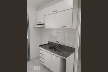 Cozinha de apartamento para alugar com 2 quartos, 47m² em Quinta da Paineira, São Paulo