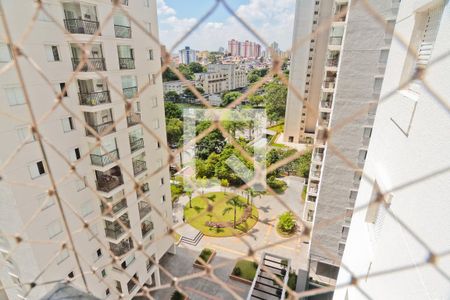 Vista de apartamento para alugar com 3 quartos, 81m² em Vila Amélia, São Paulo