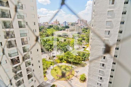 Suíte de apartamento para alugar com 3 quartos, 81m² em Vila Amélia, São Paulo