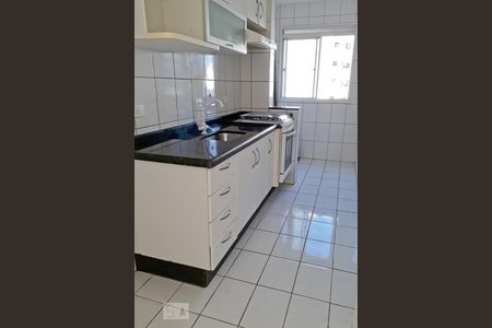 Cozinha de apartamento para alugar com 2 quartos, 52m² em Vila Basileia, São Paulo