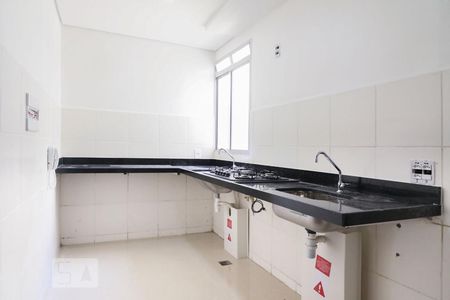 cozinha de apartamento à venda com 2 quartos, 46m² em Santa Amélia, Belo Horizonte