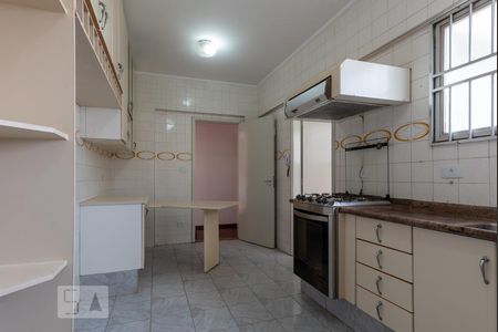 Cozinha - Armários de apartamento para alugar com 3 quartos, 130m² em Vila Formosa , Campinas