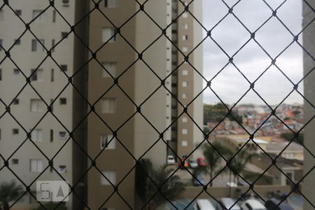 Vista do Quarto 1 de apartamento para alugar com 3 quartos, 70m² em Vila Butantã, São Paulo