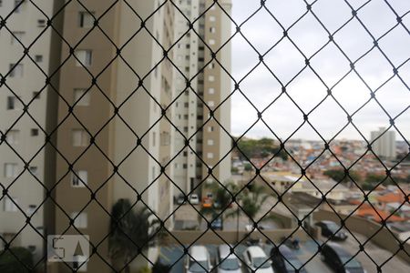 Vista da Sacada de apartamento para alugar com 3 quartos, 70m² em Vila Butantã, São Paulo