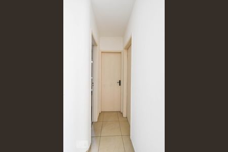 Corredor de apartamento para alugar com 2 quartos, 60m² em Jardim Vera Cruz, São Paulo