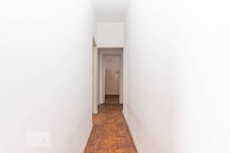 Corredor  de apartamento para alugar com 2 quartos, 70m² em Vila Talarico, São Paulo