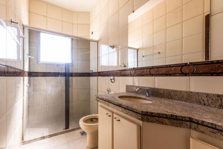 Banheiro Social de apartamento para alugar com 3 quartos, 110m² em Santa Amélia, Belo Horizonte