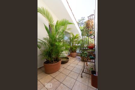 Jardim De Inverno de casa de condomínio à venda com 4 quartos, 500m² em Parque dos Príncipes, São Paulo