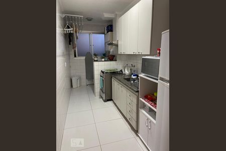 Cozinha de apartamento para alugar com 1 quarto, 60m² em Botafogo, Campinas