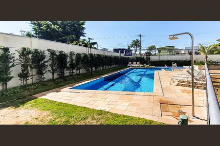 Área Comum - Piscina de apartamento para alugar com 2 quartos, 48m² em Parque Edu Chaves, São Paulo