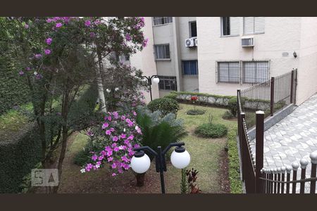 Área Comum de apartamento para alugar com 2 quartos, 50m² em Alto de Pinheiros, São Paulo